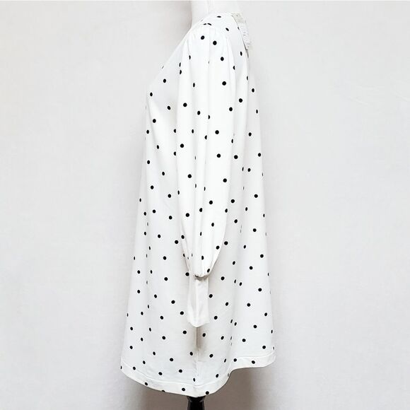 BODEN Ramona Sweatshirt Dress Long Sleeve Ivory Navy Blue Polka-dot 100% Cotton - Picture 5 of 12